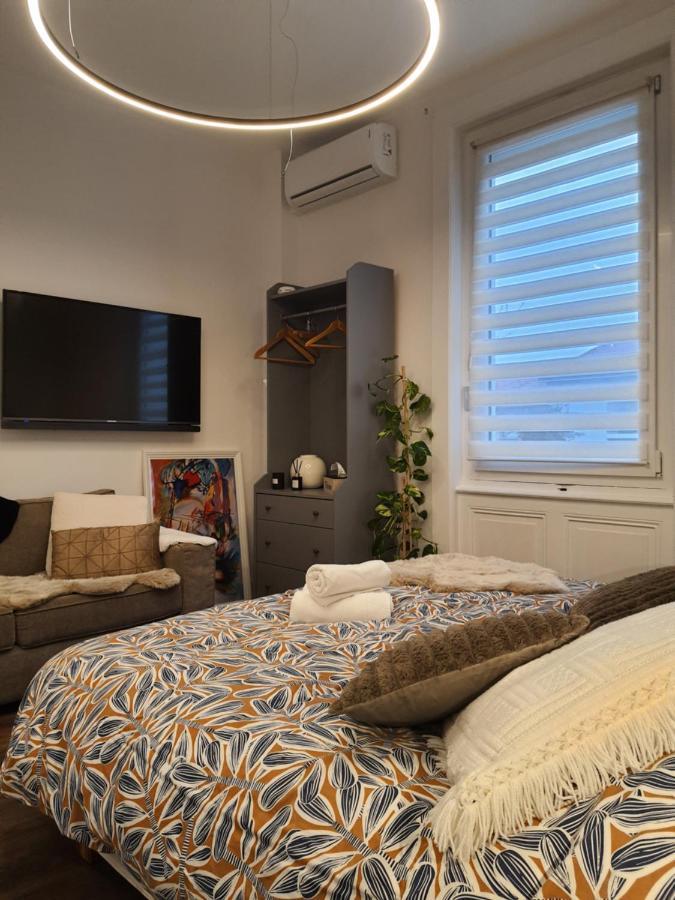 Hote Stephanois Studio, Parking& Borne Electrique Сент-Етьєн Екстер'єр фото