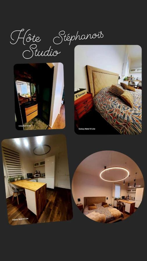 Hote Stephanois Studio, Parking& Borne Electrique Сент-Етьєн Екстер'єр фото